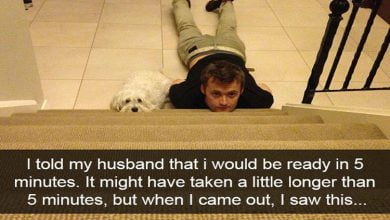 Photo of 15 Dog Snapchats That Will Make You Laugh Out Loud