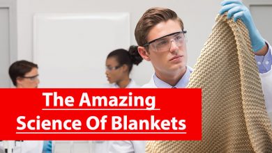 Photo of The Amazing Science Of Blankets: Researchers At MIT Have Determined That The Blanket Makes You Warm Because It Goes On Top Of You