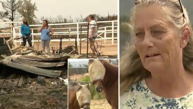 Photo of After Fire Destroys Sanctuary For Abused Horses, Family Returns To Find Every Animal Still Alive