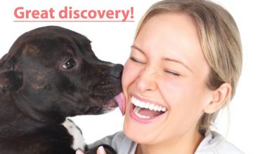 Photo of Dogs Lick Us Because We Have Bones Inside And They Want Them, Scientists Say