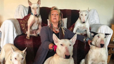 Photo of Man Made His Wife Choose Between Her Rescue Dogs And Him – She Picked The Dogs