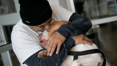 Photo of After 4 Long Months Apart, Man Keeps Promise To Re-Adopt Dog He Was Forced To Surrender
