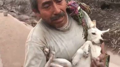Photo of He Returned To Rescue His Dog From The Volcano In Guatemala