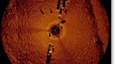 Photo of A Possible Stonehenge Discovered Under Lake Michigan