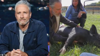 Photo of Jon Stewart and his wife has turned their 12-acre farm into a heart-warming sanctuary for abused animals