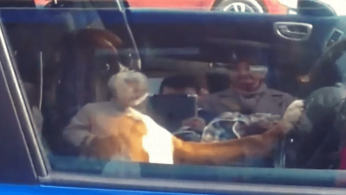 Photo of Man Leaves Dog In Car While At Store, Records Video That Has Internet Cracking Up