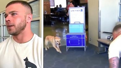 Photo of Soldier Nervously Waits For The Dog He Served With To Get Off The Plane