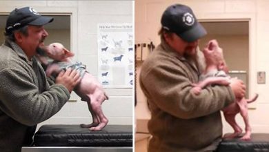 Photo of Man Returns To Adopt The Dog He Rescued, And The Pup Couldn’t Be Happier