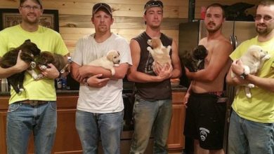 Photo of Bachelor Party Turns Into A Dog Rescue When The Guys Find A Litter Of Puppies In The Woods