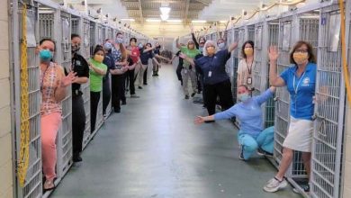 Photo of Animal shelter is empty for the first time in history after every dog was adopted