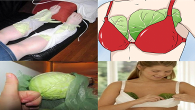 Photo of Put Cabbage Leaves Onto Your Chest and Legs Before You Go To Sleep if You Experience Frequent Headaches-the Next Morning You Will Feel Healthier Than Ever!