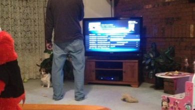Photo of Someone Points Out That Dads Watch TV In A Very Specific Way, And It’s Hilarious (10 pics)