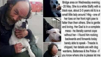 Photo of Homeless Man Reunited With Beloved Dog After It Was Stolen By ‘Police Impersonator’