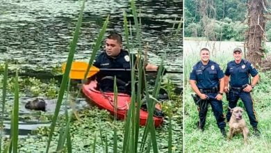 Photo of Officers Use Kayak To Rescue Dog From Muddy Pond