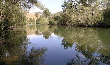 Photo of Cooplacurripa River