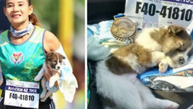Photo of Woman Finishes Marathon Carrying Puppy She Rescued Along The Way