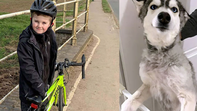 Photo of Boy Starts Bike Ride Fundraiser To Rescue And Rehabilitate Dogs From The Meat Trade In China