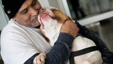 Photo of Man Keeps Promise To Re-Adopt Dog He Was Forced To Surrender 4 Months Ago