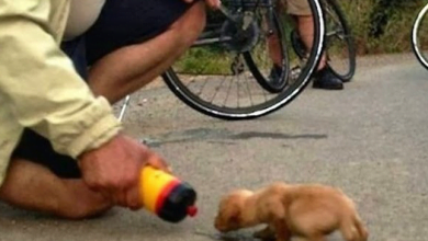 Photo of Cyclist Finds Aban.do.ned Puppy While Out On A Ride And Decides To Adopt Him