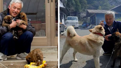 Photo of Two Men Are Still Living In Japan Nuclear Disaster Area Just To Take Care Of People’s Pets