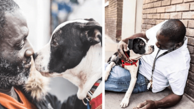 Photo of Homeless Man Shares Tiny Room With A Dog He Met On The Streets