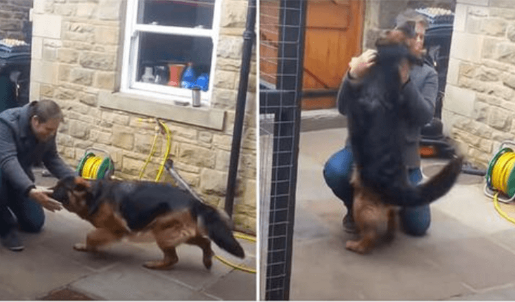 dog-cries-tears-of-joy-when-he-is-reunited-with-owner-after-months