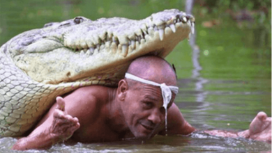 Photo of The man saved a dying crocodile and they remained best friends for over 20 years