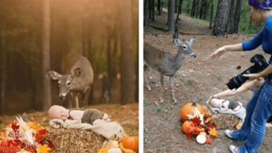 Photo of Baby Boy’s Outdoor Photo Shoot Takes A Whimsical Turn When Uninvited Deer Shows Up