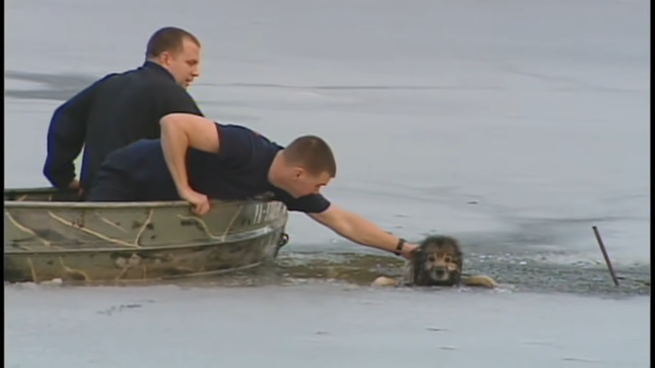 Dog rescued from icy pond Delaware Online News Video 0 29 screenshot