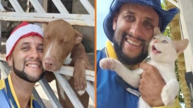 Photo of Mailman Takes Selfies With Every Animal He Befriends Along His Route