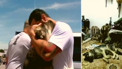 Photo of Devoted Soldier Adopts Dog That Got Him Through War Tour In Iraq