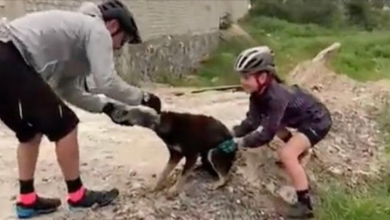 Photo of Family Out Cycling Save Young Dog With Plastic Bottle On Head