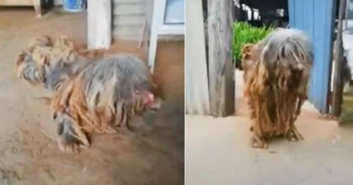 Devoted To The Family Who Left, He Waited While He Starved & His Body Broke-Down