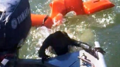 Photo of Fisherman Throws Life Jacket To Save Drowning Dog, But It’s Not A Dog At All