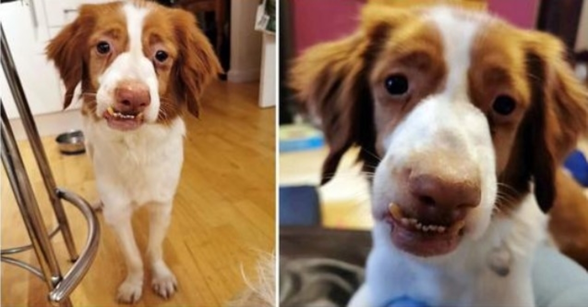 Left With A Wonky Face After Being Badly Abused, He Ached For Love & Acceptance