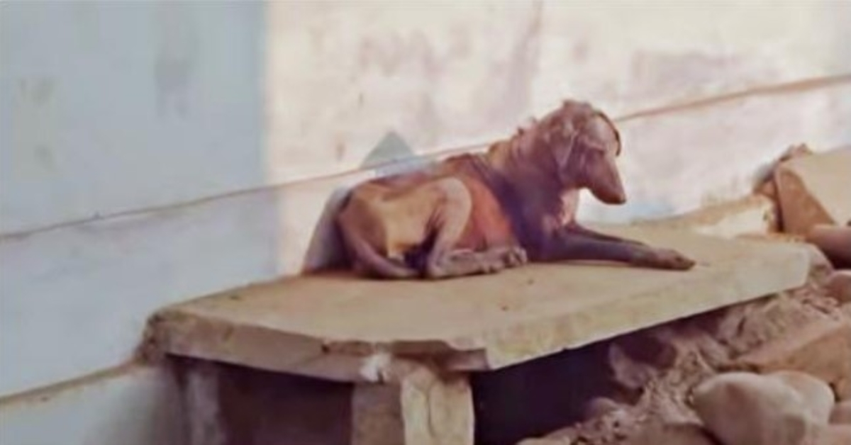 Sickly Skin Turned To Gravel & Eyes Filled With Sorrow, As They All Walk Passed