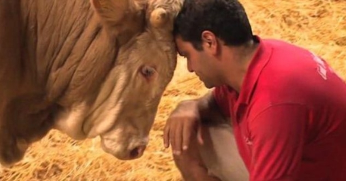 Bull’s been imprisoned his whole life – the moment he’s set free is beautiful to behold