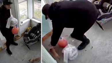 Photo of DoorDash Driver Drops Off Food On Porch, Grabs Family’s Puppy & Drives Off