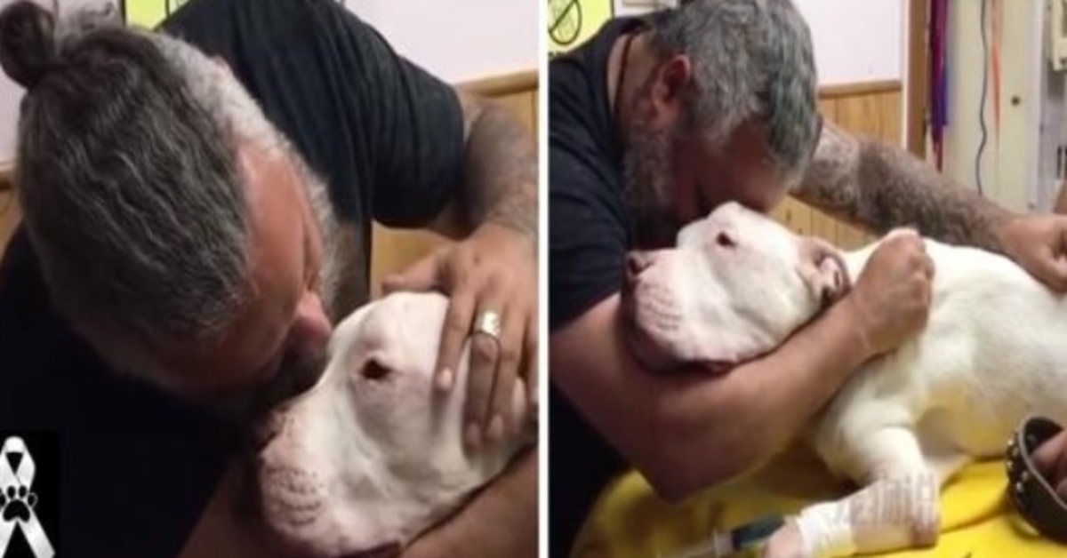 Man hugs his 14-year-old dog through tears and dies seconds later: Don’t abandon mee