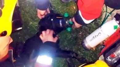 Photo of Firefighters Rescue Puppy From Burning Home, But Then The Puppy Stops Breathing