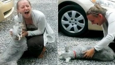 Photo of Dog Passes Out From Overwhelming Joy When This Girl Comes Home After Two Years