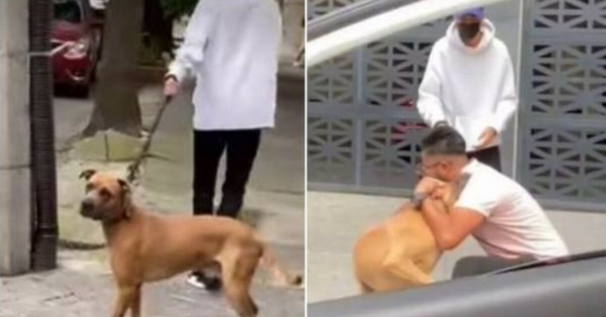 She cries when she miraculously finds her lost dog 6 years ago, but she was already with another owner