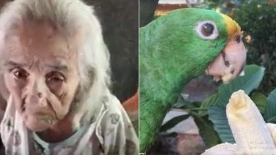 Photo of 102-Year-Old Grandma Begs Police To Return Back Her Confiscated Pet Parrot