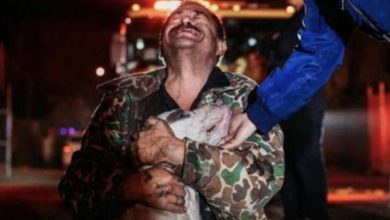 Photo of The Man Didn’t Mind Losing Everything In The Fire As Long As He Had His Dog