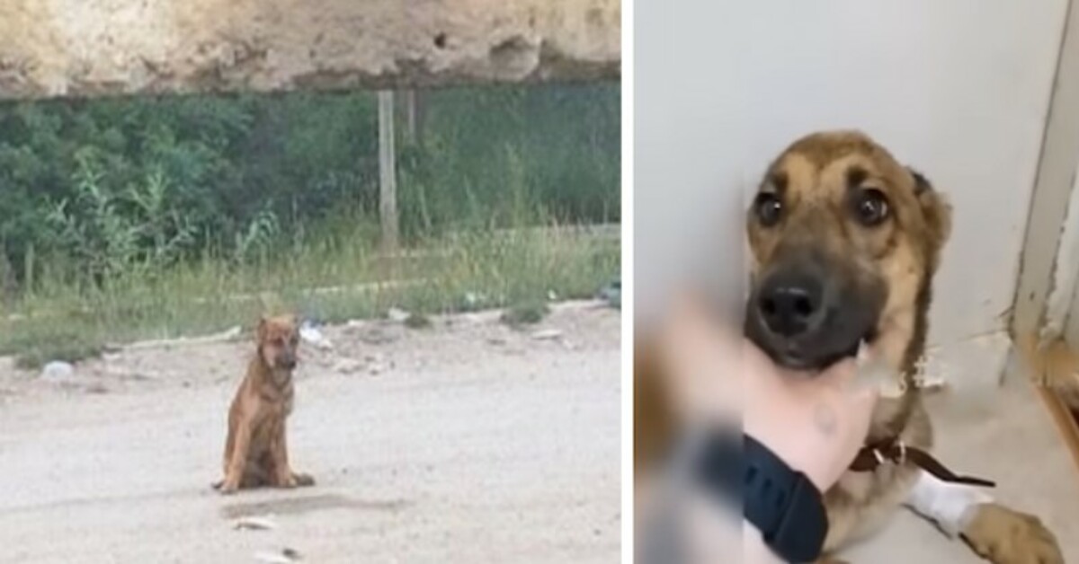 After the surgery, she was left on that road in sadness and tears