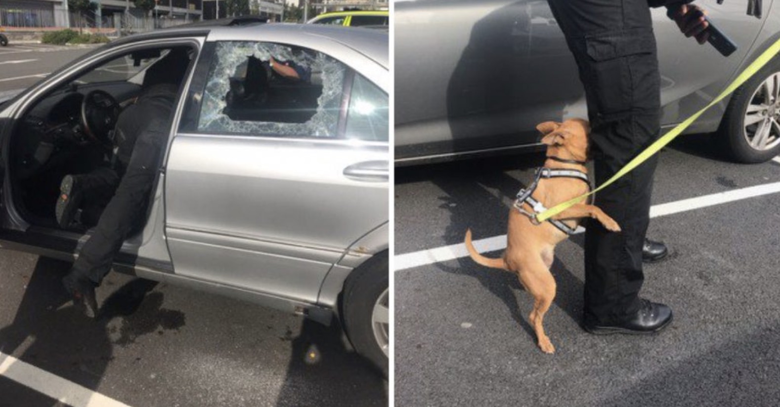 Cop Smashes Window To Save Dog Dying In Hot Car, And Owners Get Angry With Him For Damaging The Car
