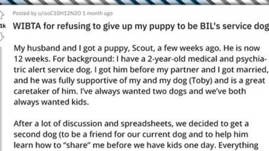 Photo of The Puppy Conundrum: Redditor Stands Firm, Denies Lifesaving Request for Beloved Furry Companion
