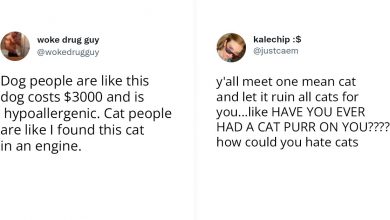 Photo of 15 Side-Splitting Tweets That Perfectly Capture the Cat People vs. Dog People Debate