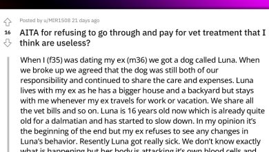 Photo of Defying Expectations: Woman Stands Firm, Rejects Paying for Treatment That Could Prolong Her Dog’s Life