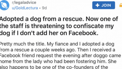 Photo of Dog Owner Doesn’t Add Rescue Worker On Facebook, So They Threaten To Take Her Dog